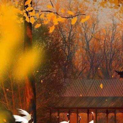 明珠三国2九游版下载